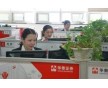 銀 河 證 券 熱 線 電 話 是 多 少