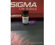 細(xì)胞級(jí)Trolox廠(chǎng)家sigma水溶性維生素E使用說(shuō)明