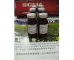 CAS:107761-42-2廠家現貨β-淀粉樣蛋白1-42